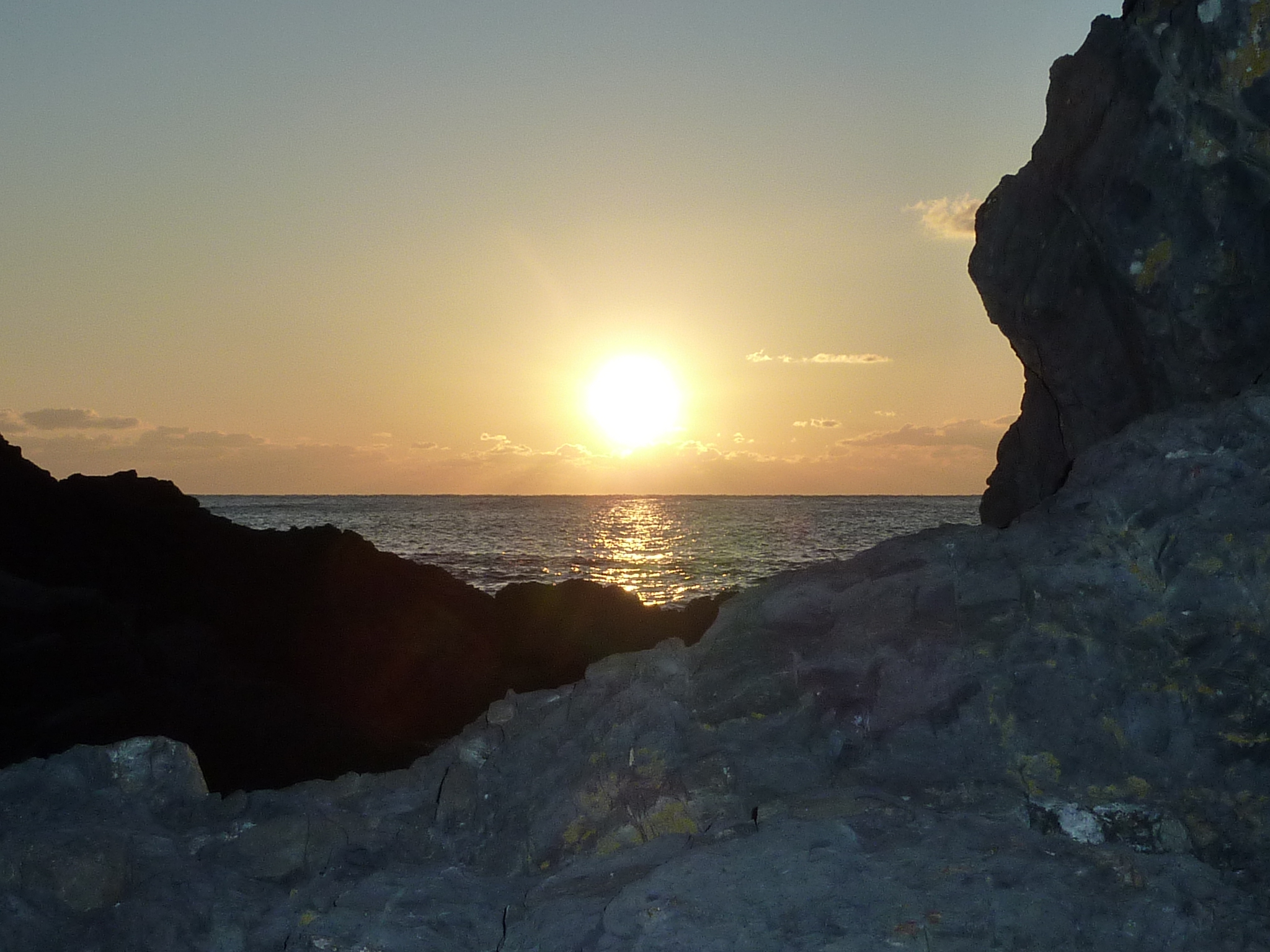 P1000810.JPG