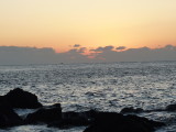 img0005.jpg