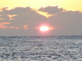 img0010.jpg