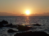 img0049.jpg