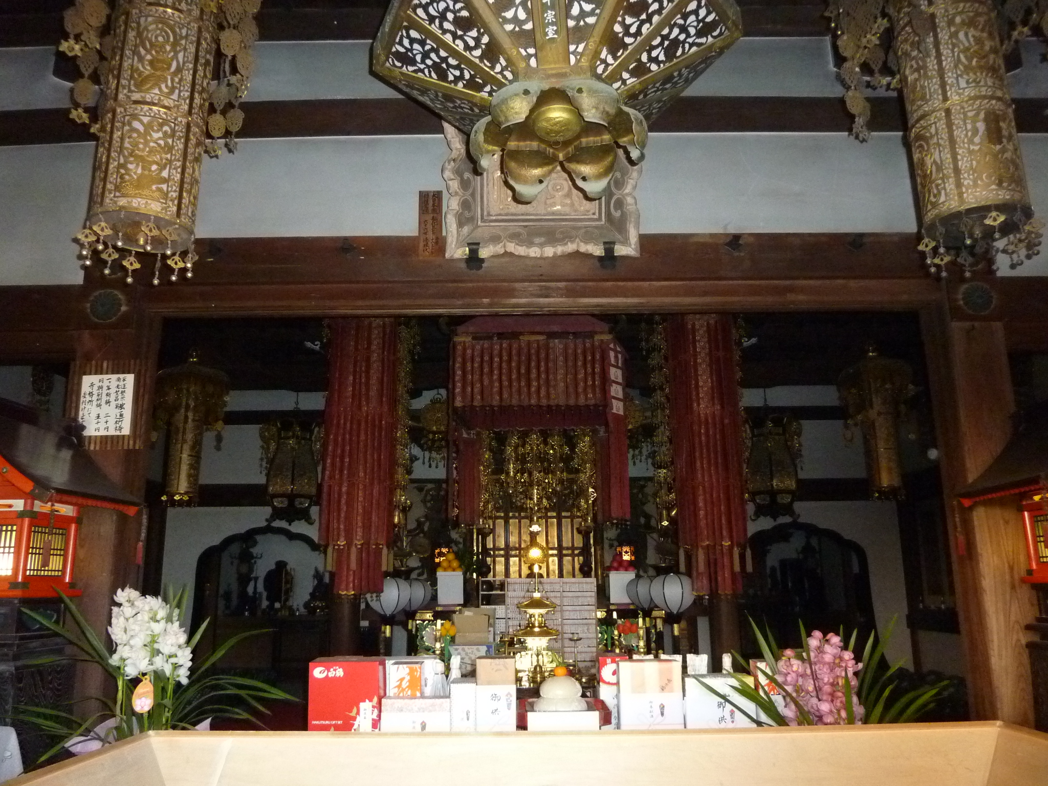 P1000893.JPG