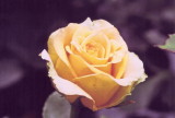img0004.jpg