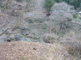 img0003.jpg