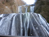img0005.jpg