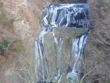 img0009.jpg