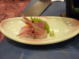 img0019.jpg
