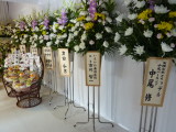 img0008.jpg