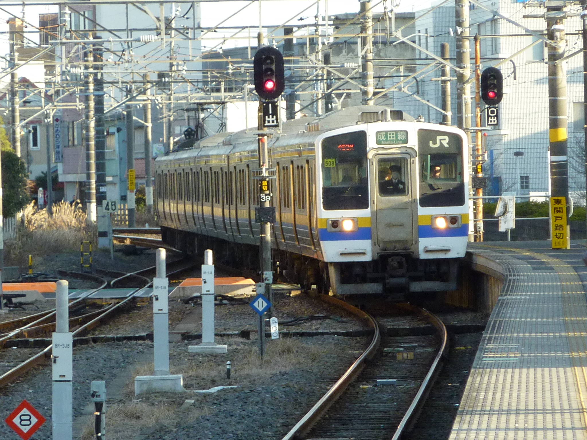 P1010036.JPG