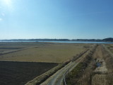 img0012.jpg