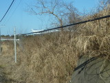 img0016.jpg
