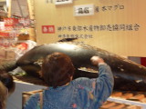 img0019.jpg