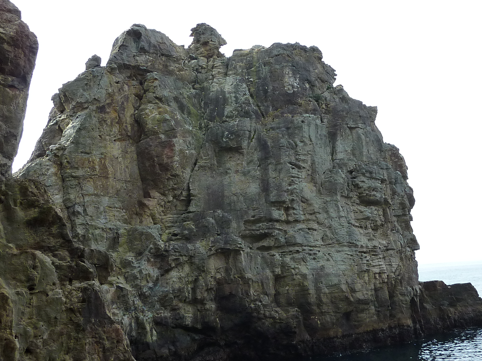 P1010500.JPG