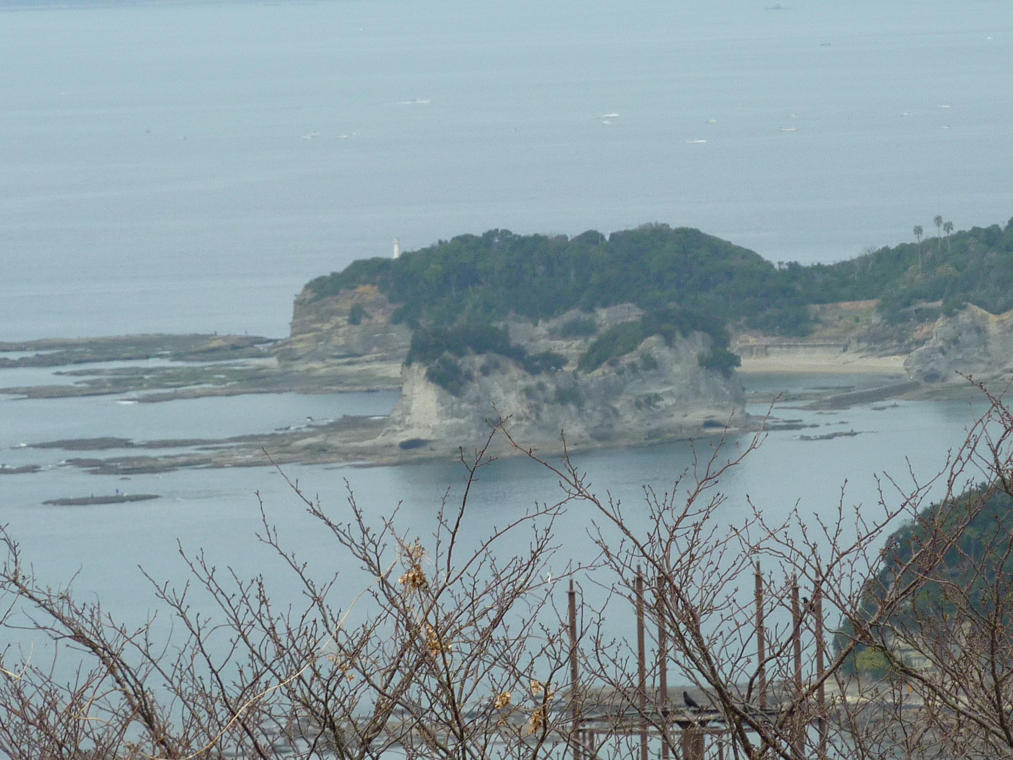 P1010515.JPG