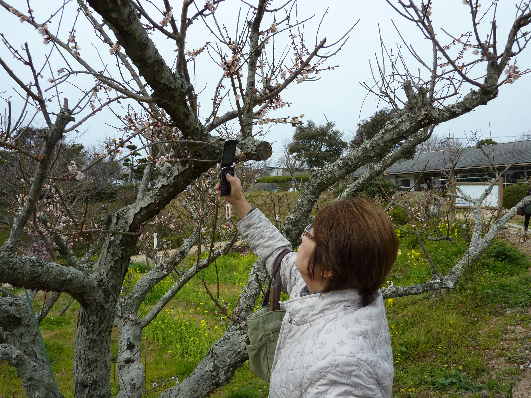 P1010520.JPG