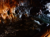 img0007.jpg