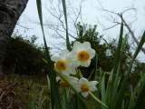 img0021.jpg