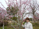 img0026.jpg
