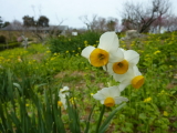 img0028.jpg