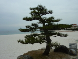 img0061.jpg