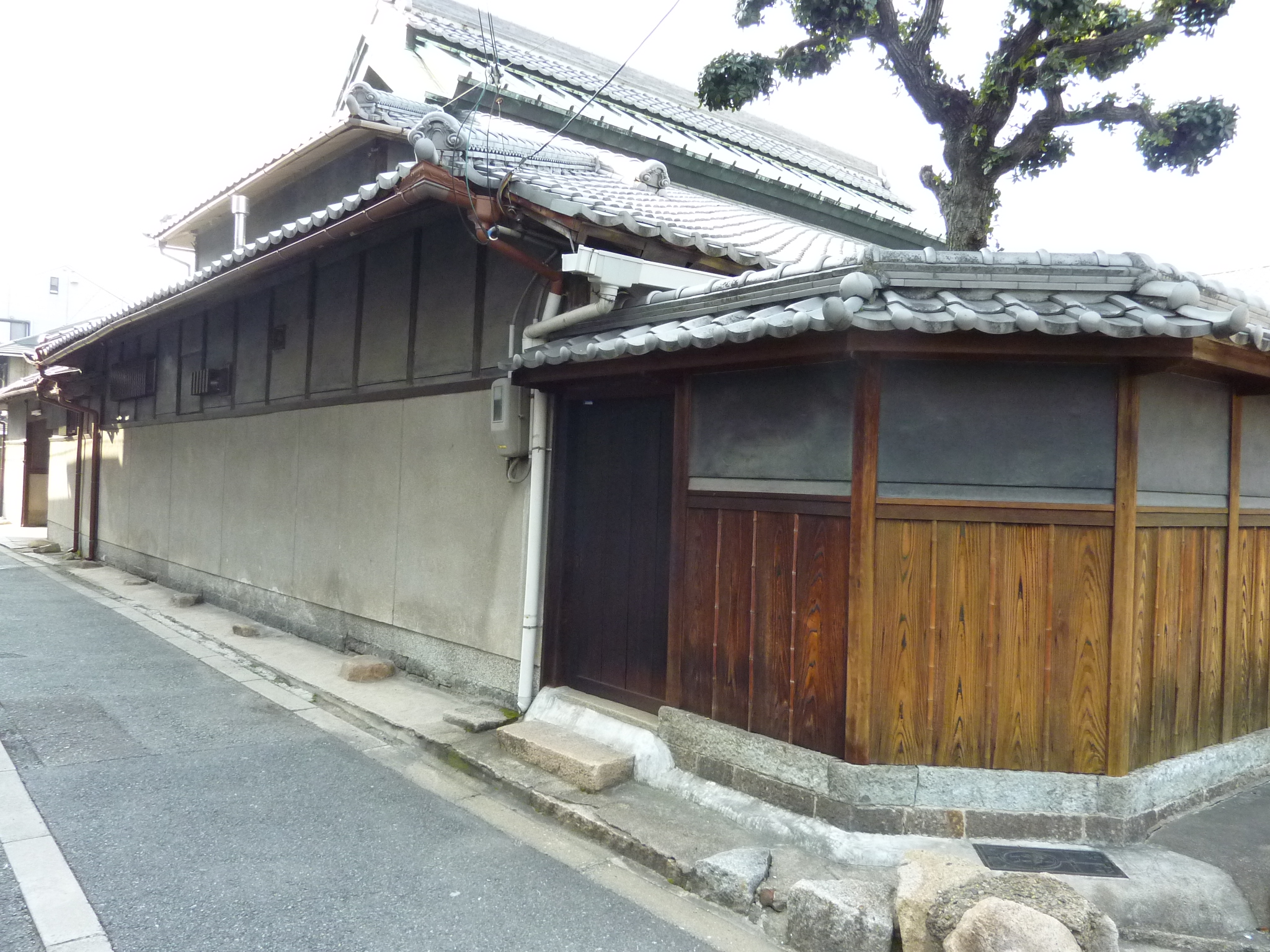 P1010591.JPG