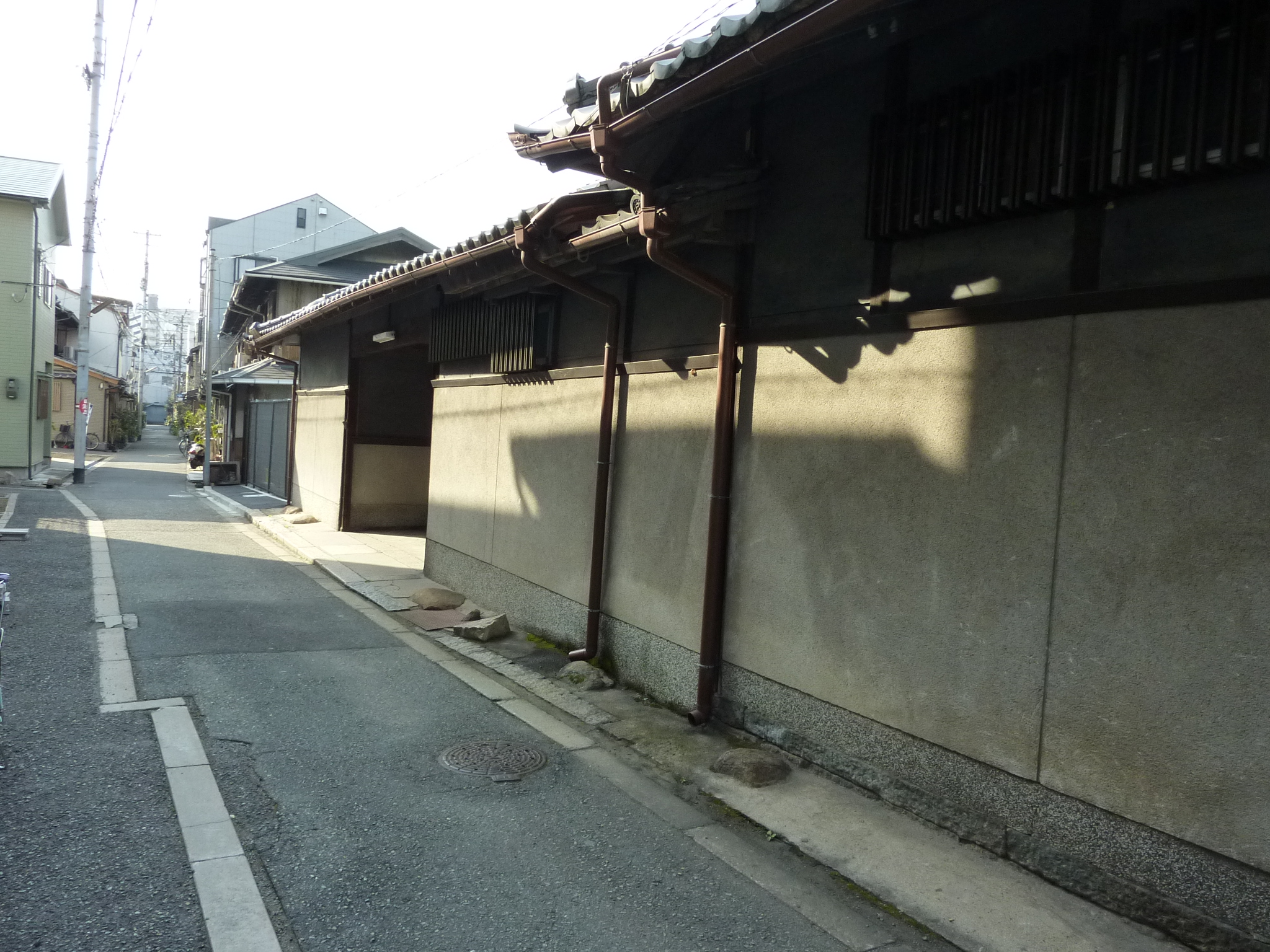 P1010593.JPG