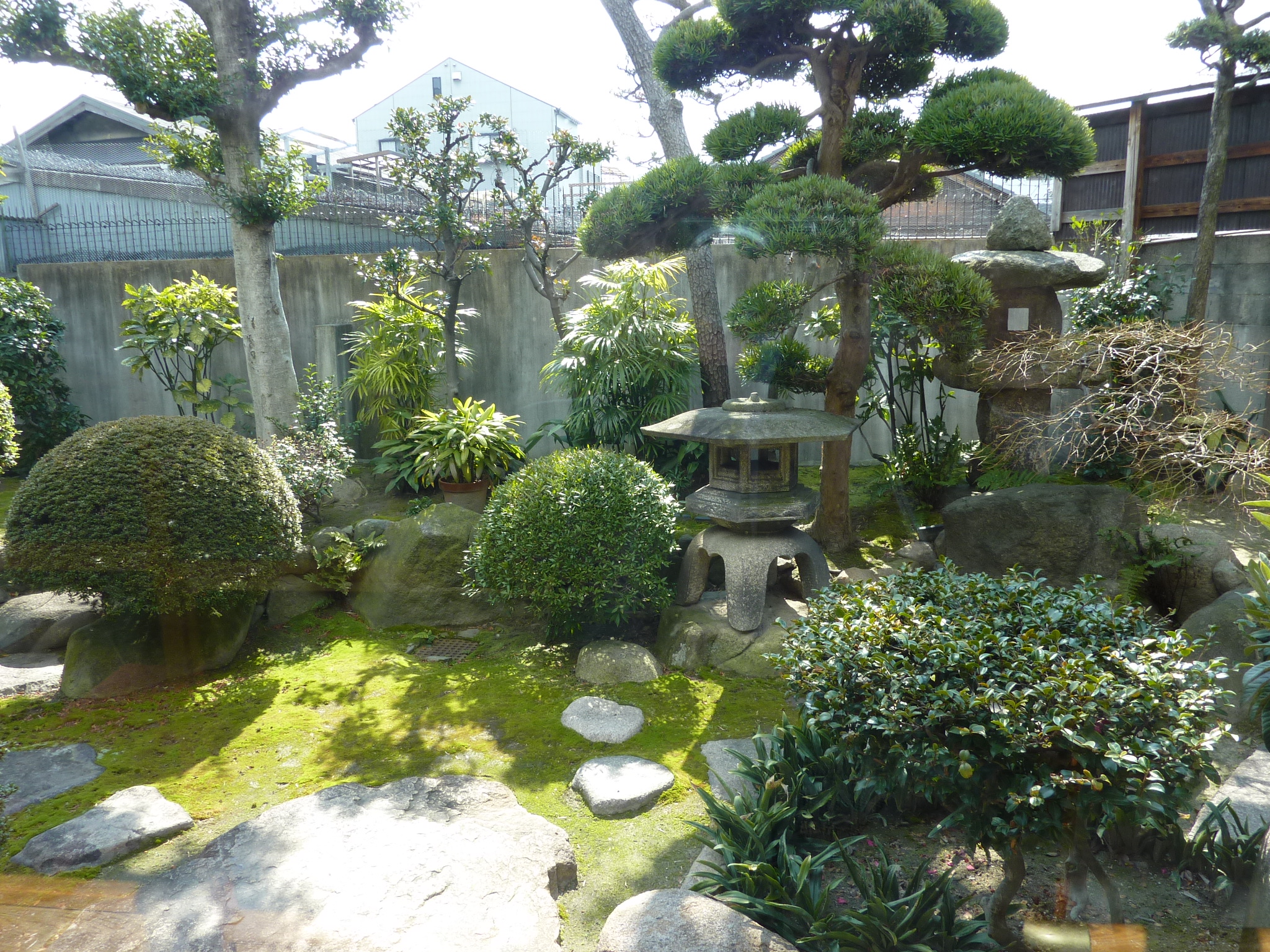 P1010600.JPG