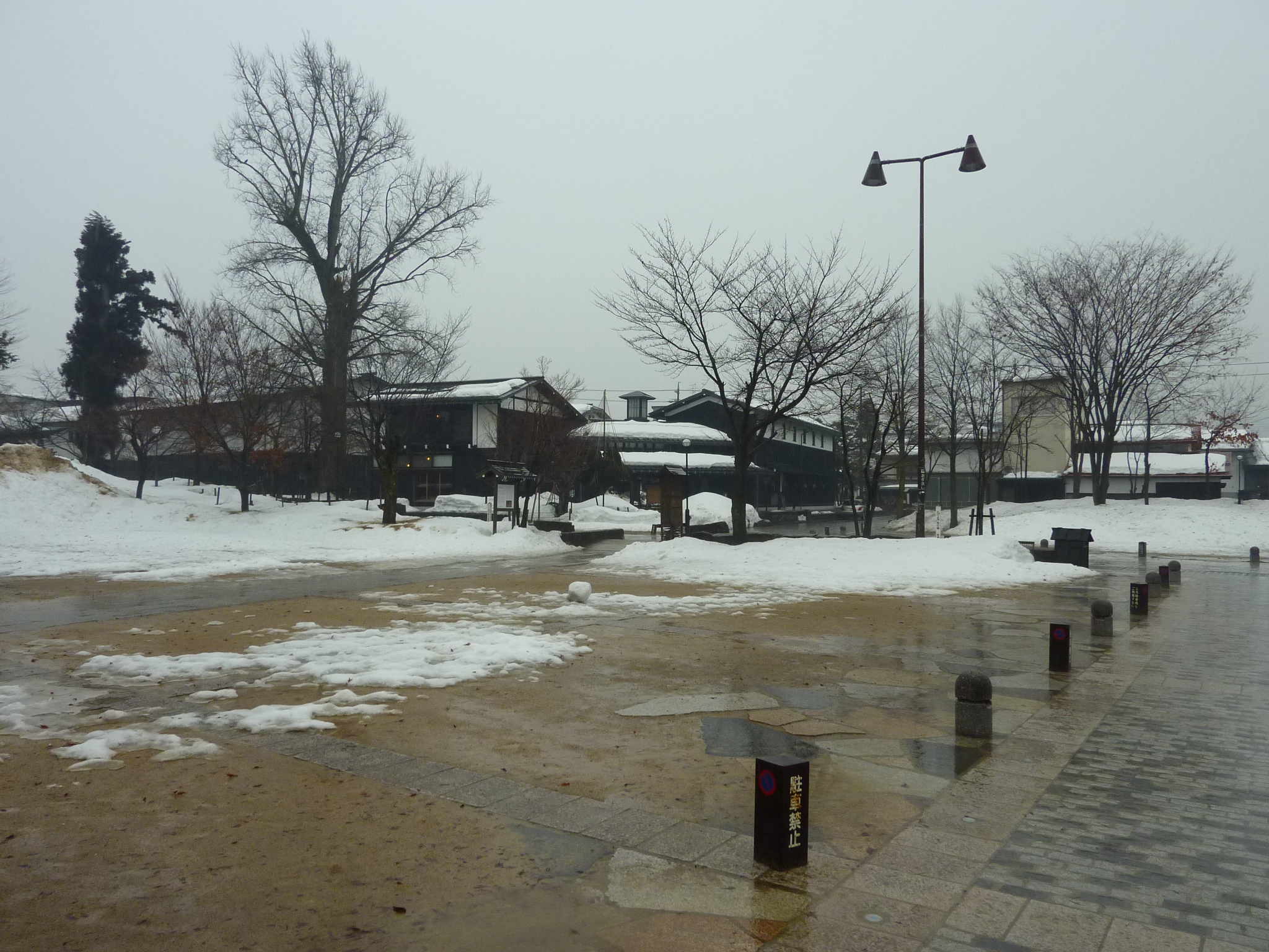 P1010639.JPG