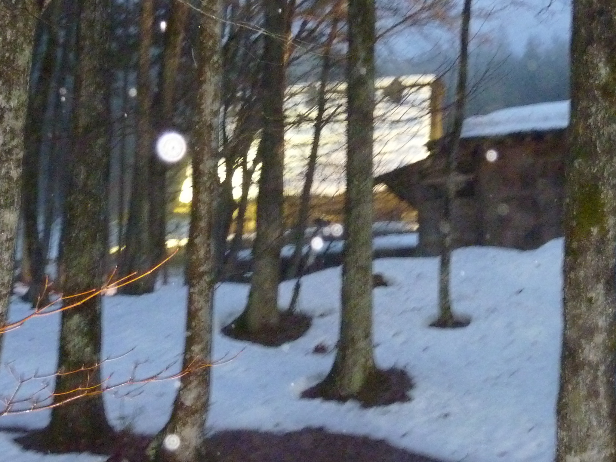 P1010673.JPG