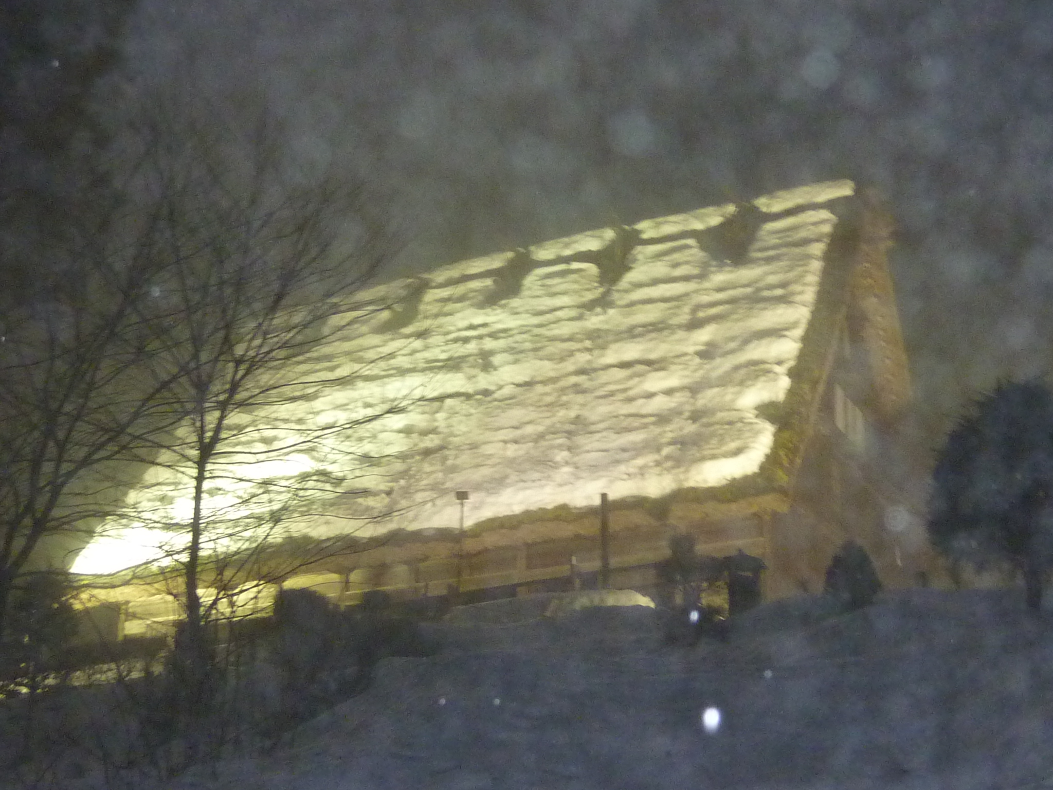 P1010687.JPG