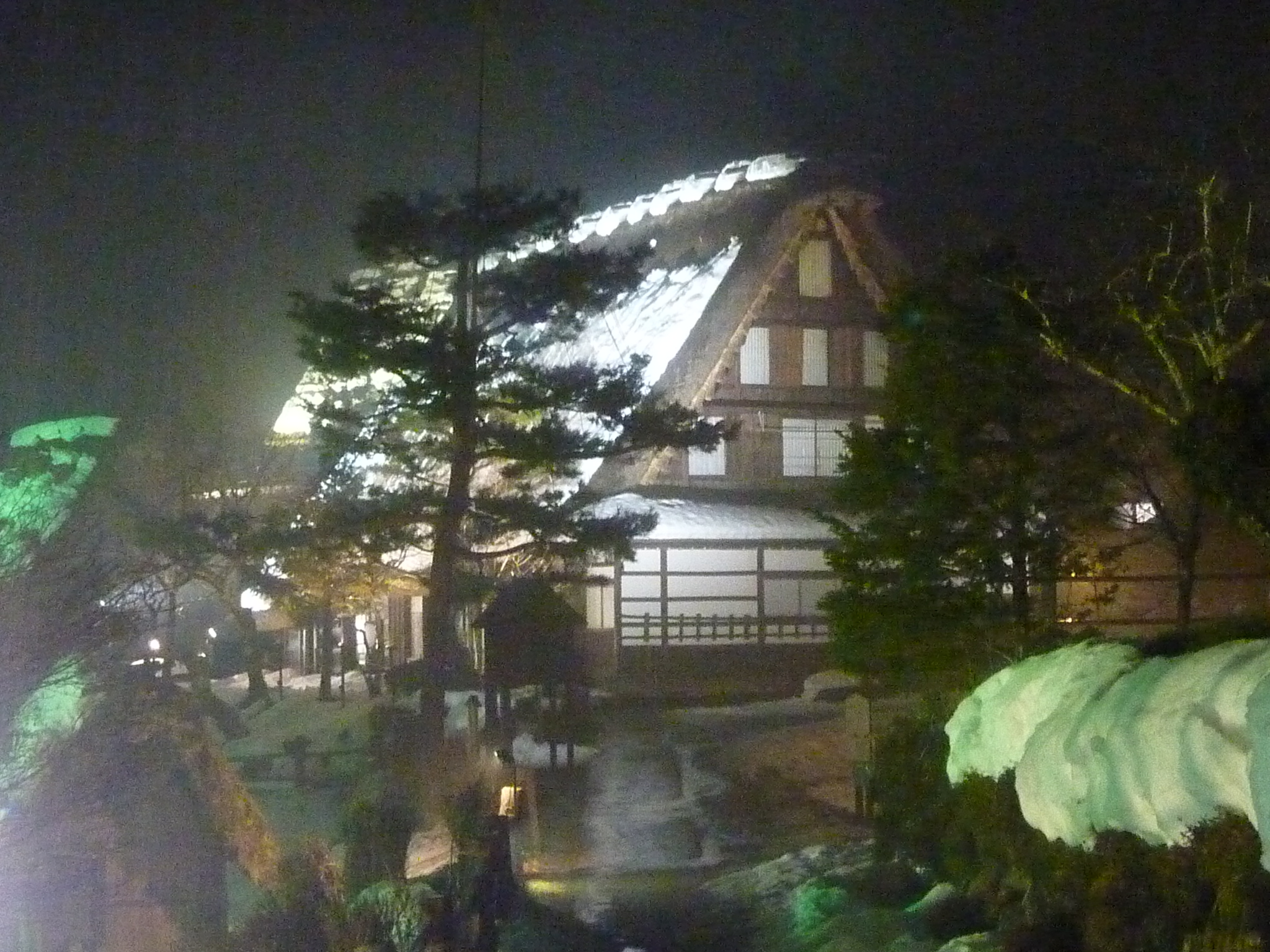 P1010701.JPG