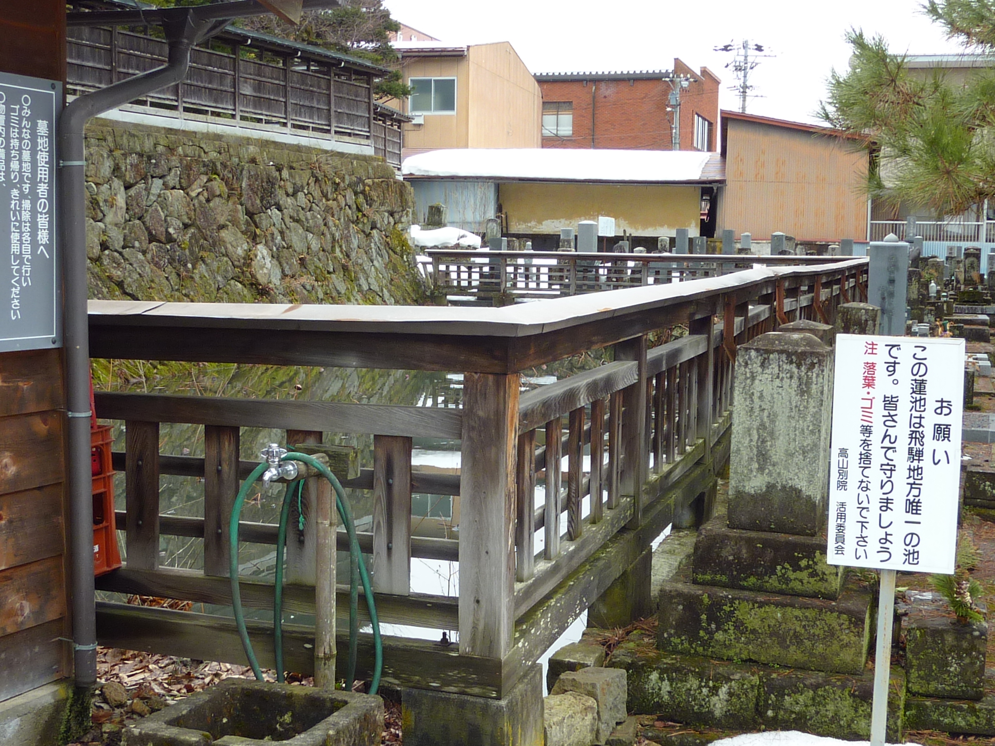 P1010820.JPG