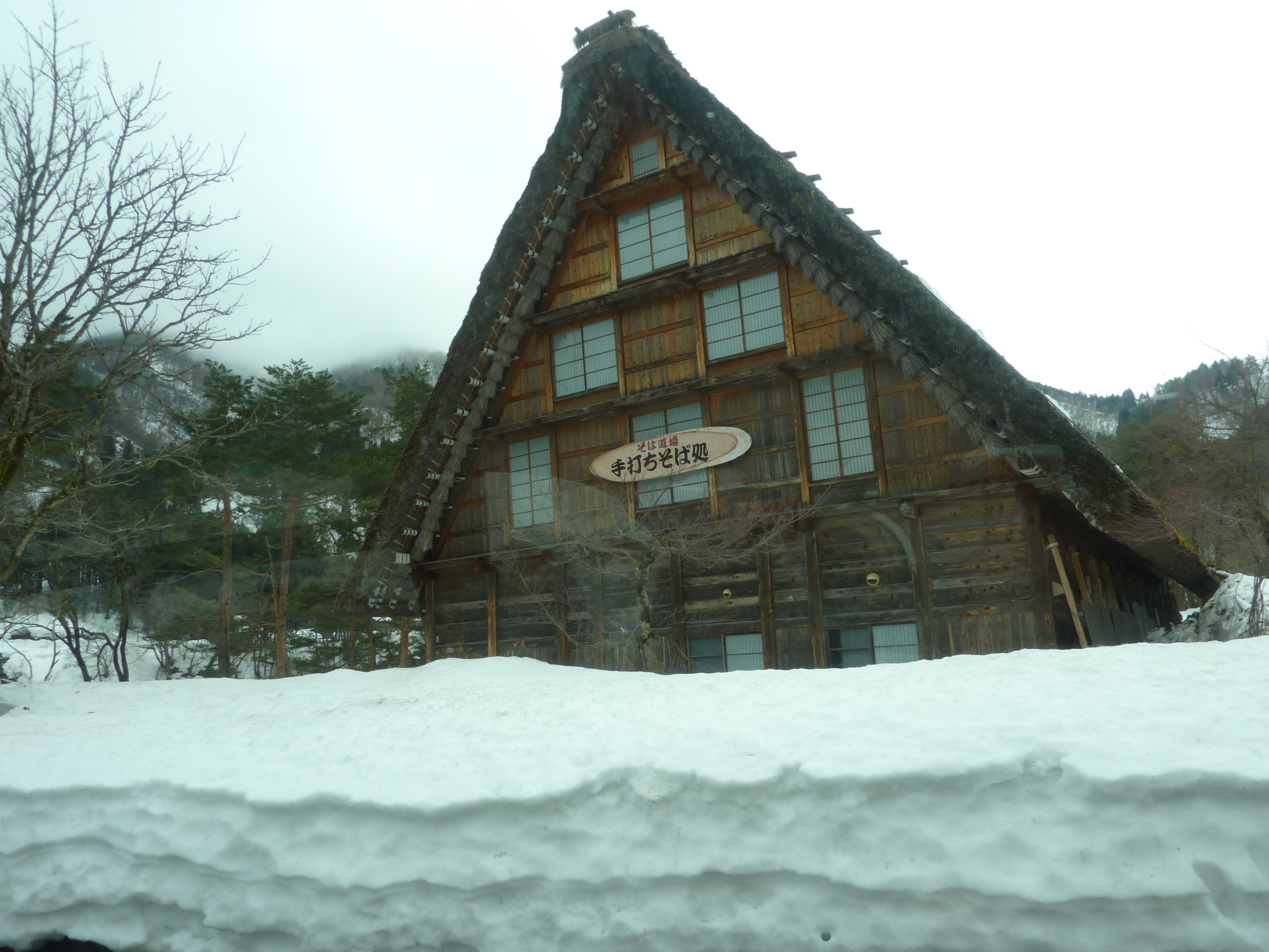 P1010846.JPG