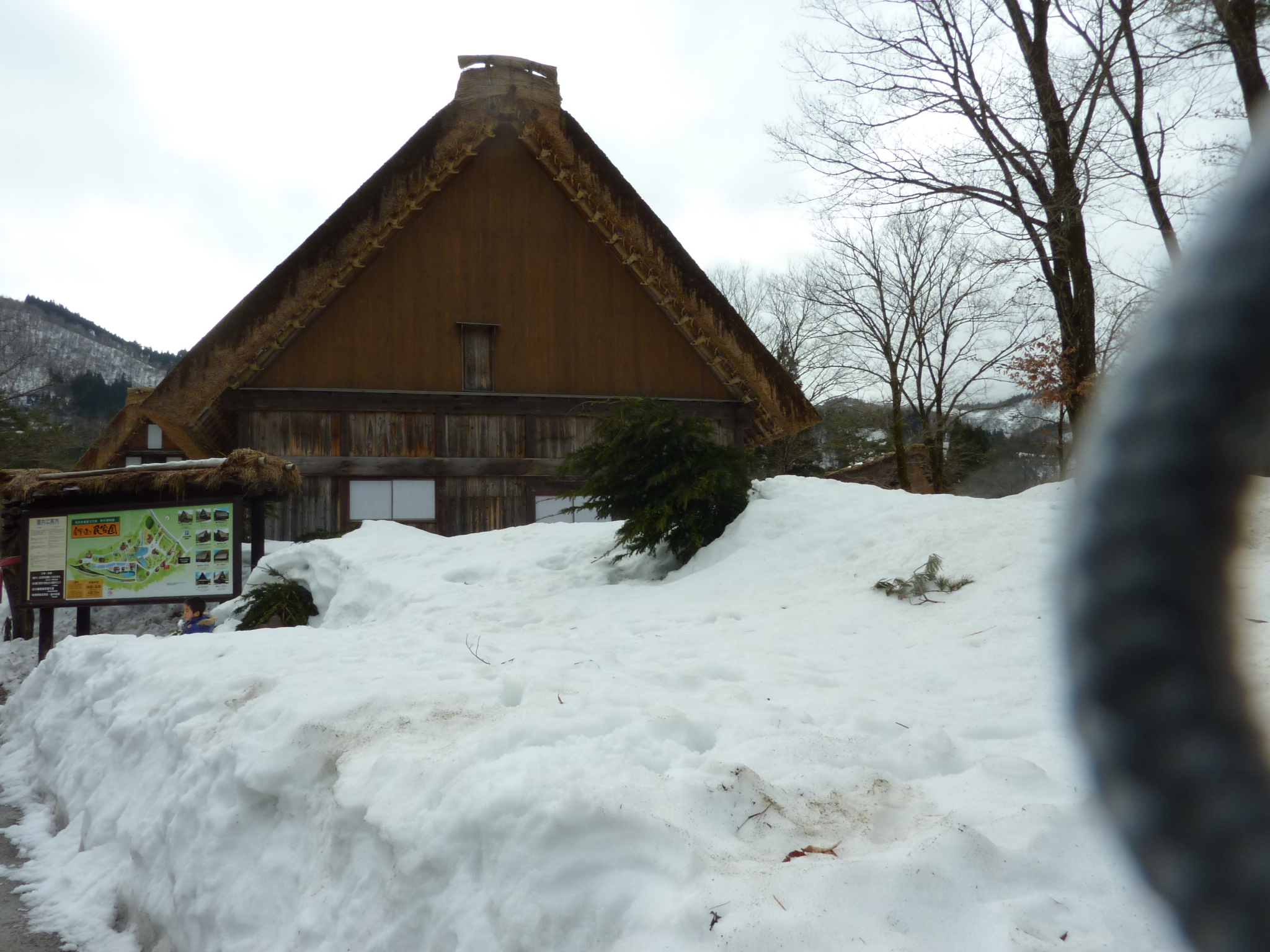 P1010847.JPG