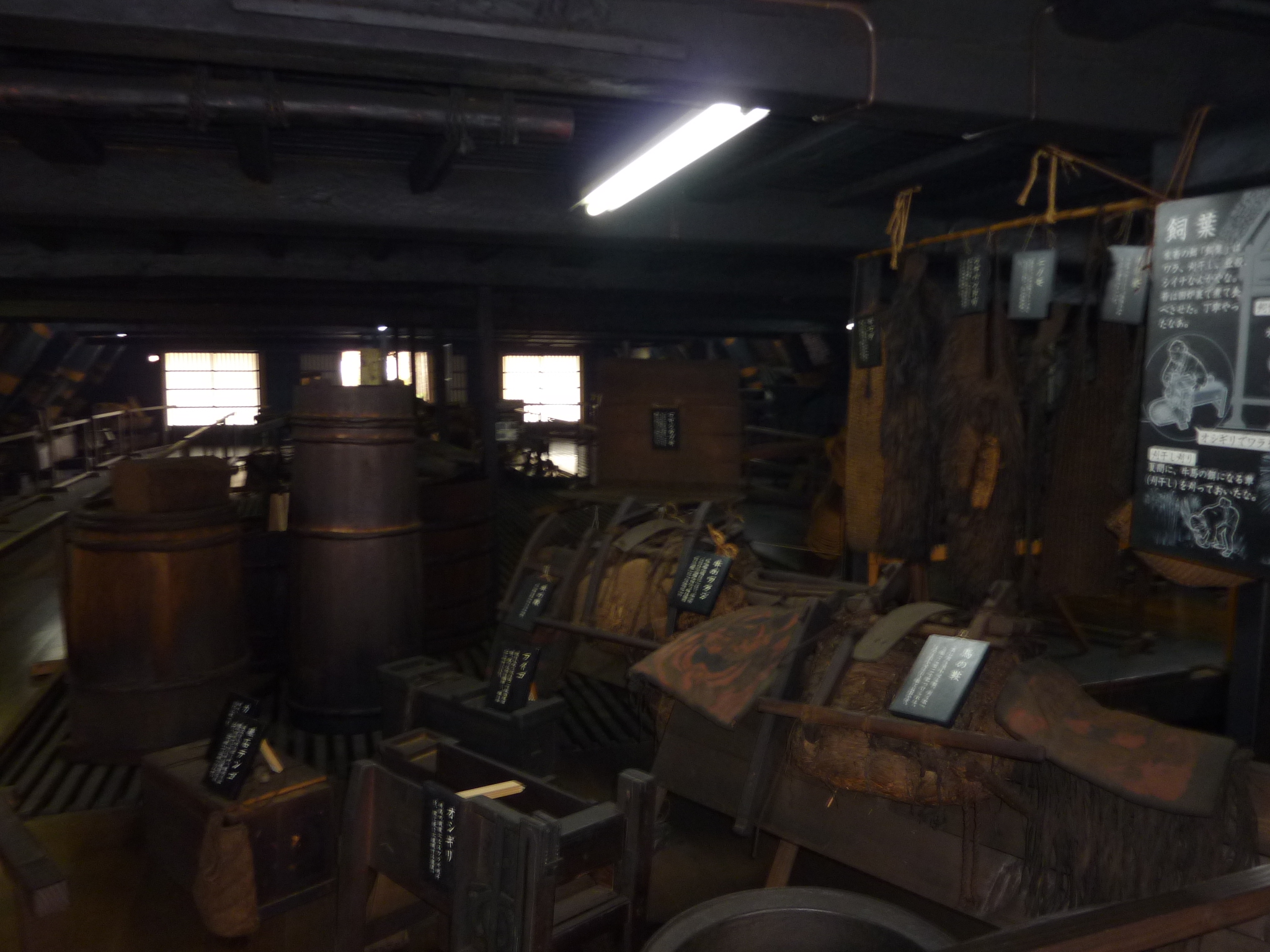 P1010869.JPG