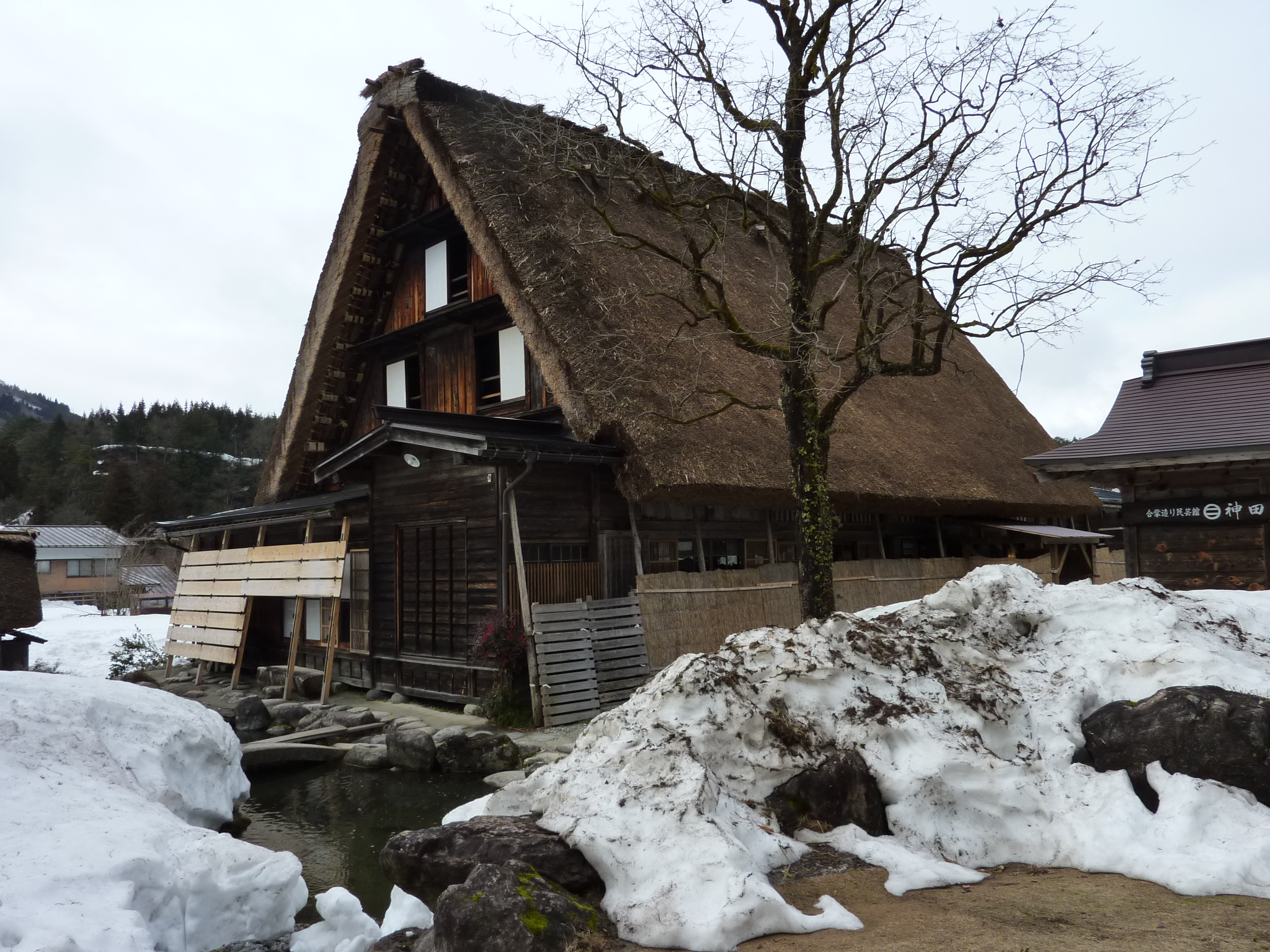P1010890.JPG