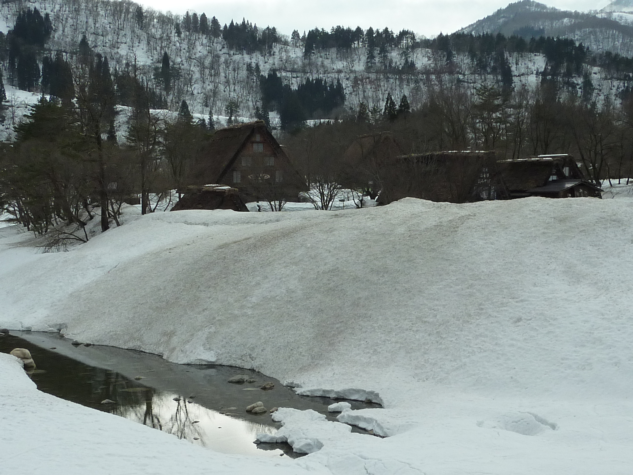 P1010894.JPG