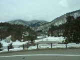 img0181.jpg