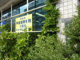 img0006.jpg