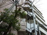 img0012.jpg