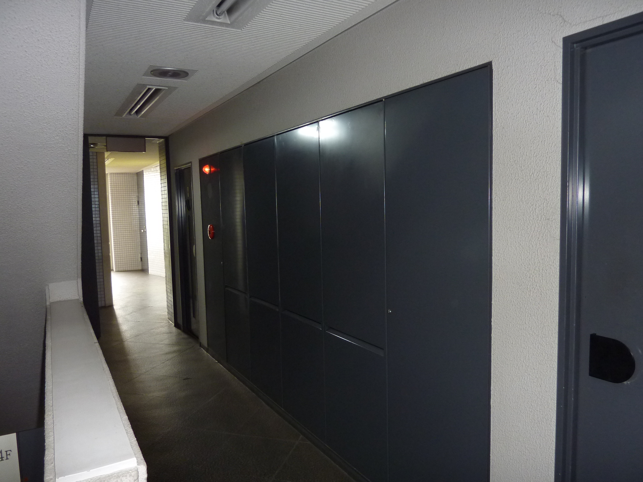 P1010969.JPG
