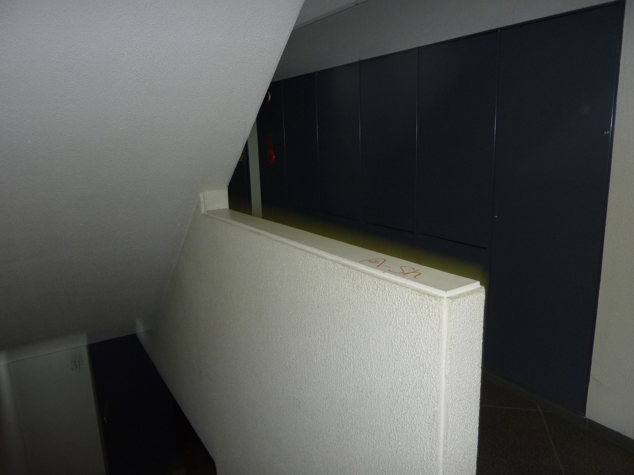 P1010980.JPG