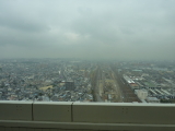 img0037.jpg