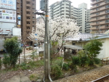 img0042.jpg