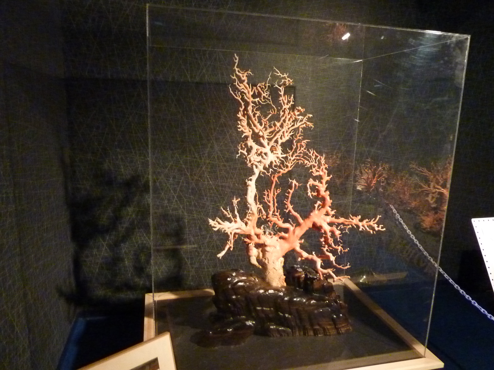 P1020135.JPG