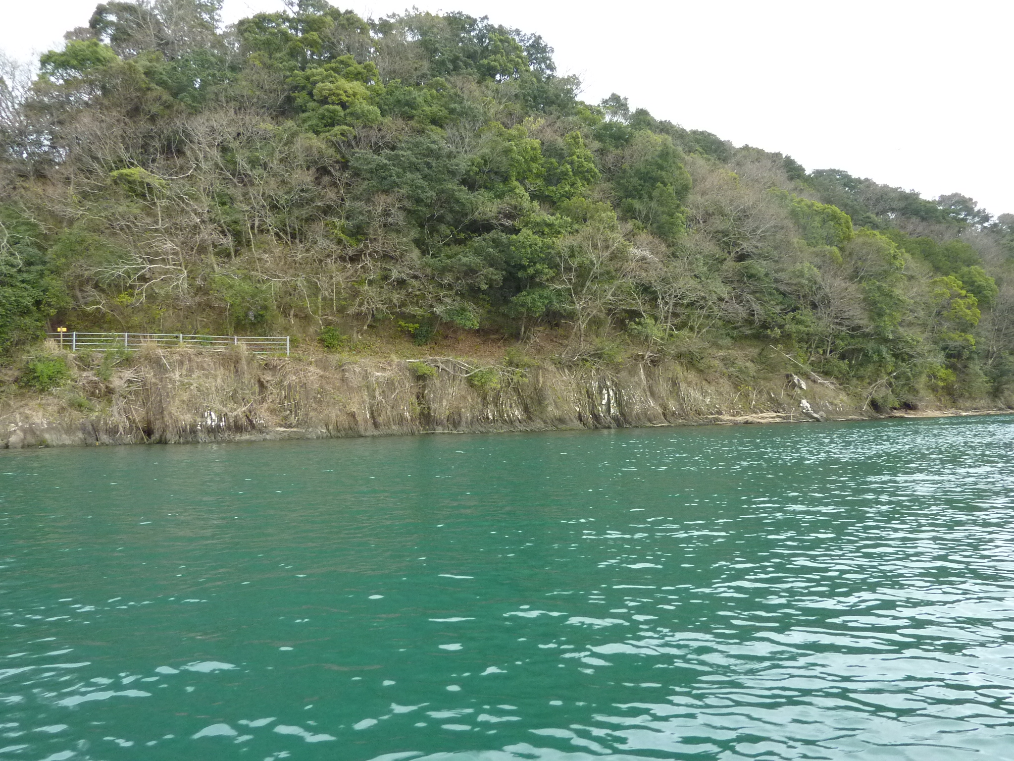 P1020155.JPG