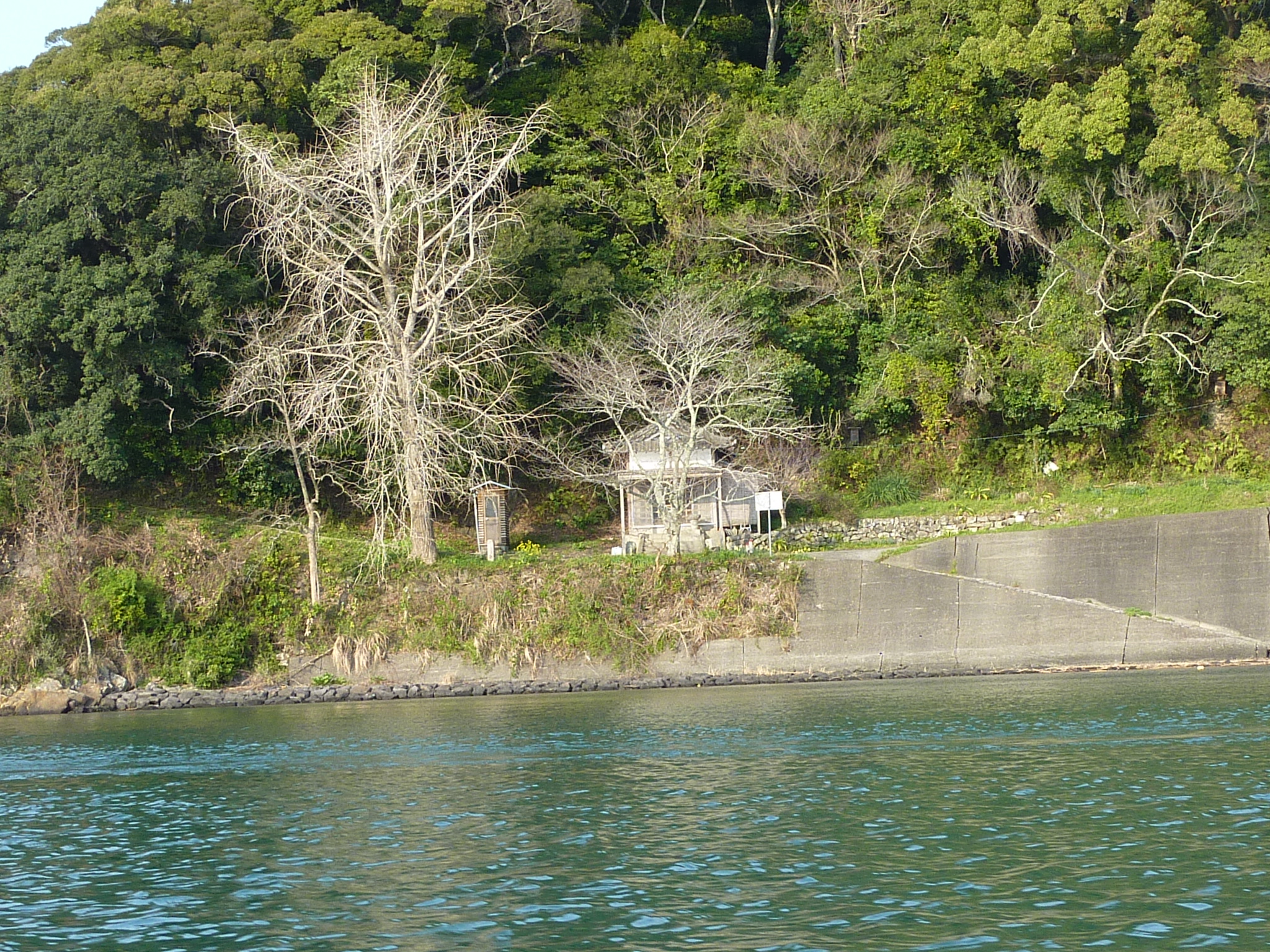 P1020179.JPG