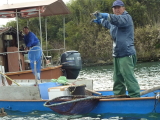 img0062.jpg
