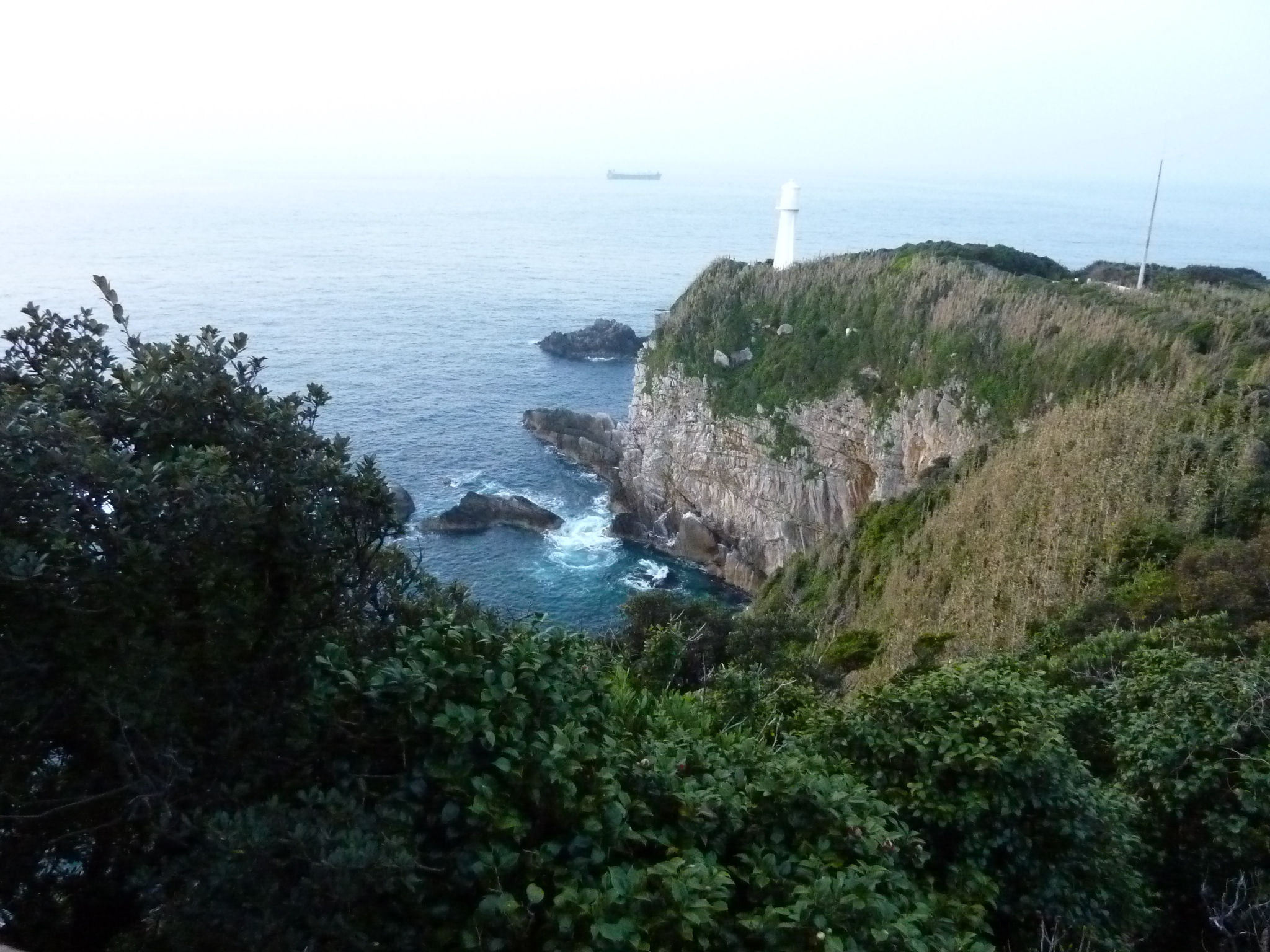P1020199.JPG