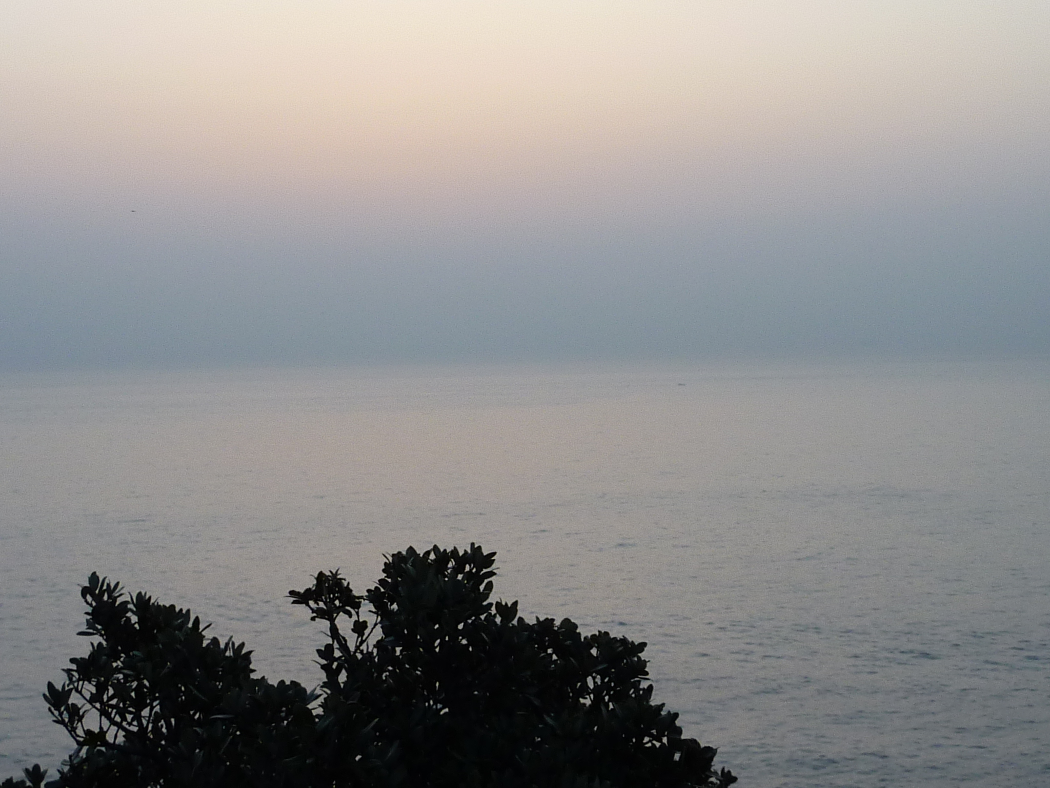 P1020205.JPG