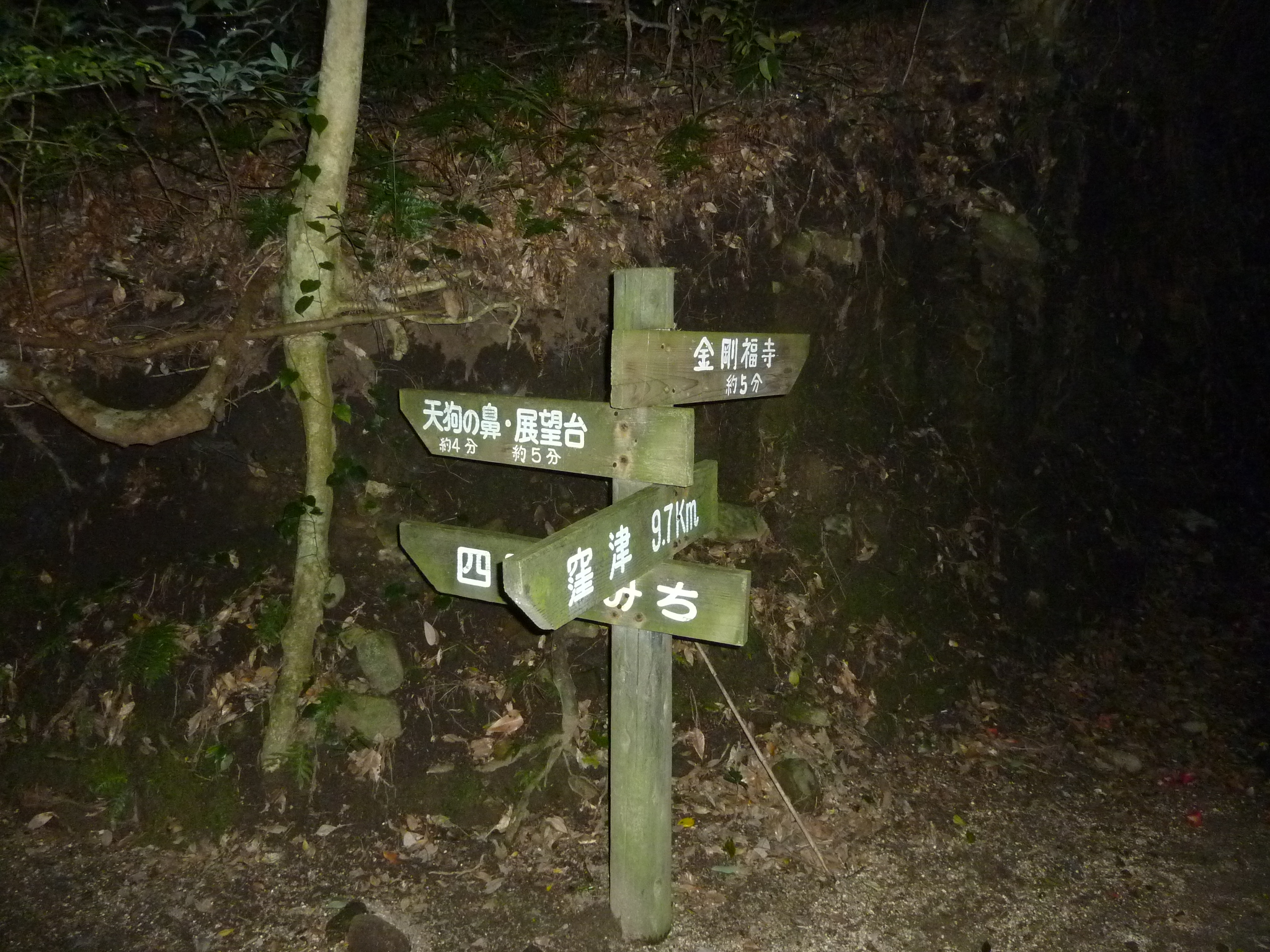 P1020227.JPG